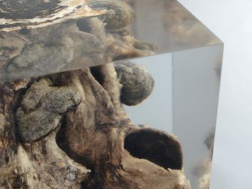 FUNGI Stool by Alcarol - view 3
