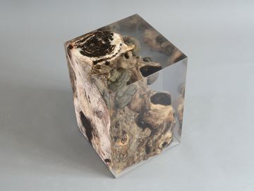 FUNGI Stool by Alcarol - view 2