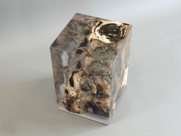 FUNGI Stool by Alcarol - view 7