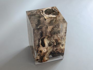 FUNGI Stool by Alcarol - view 4