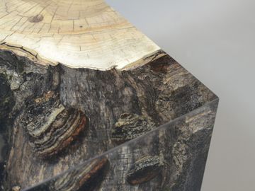 FUNGI Stool by Alcarol - view 5