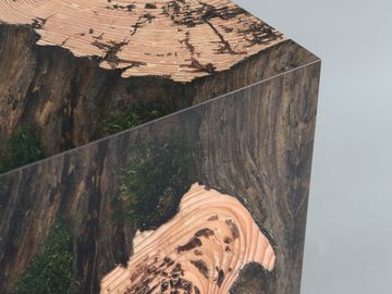 STUMP Stool - Larch by Alcarol - view 3