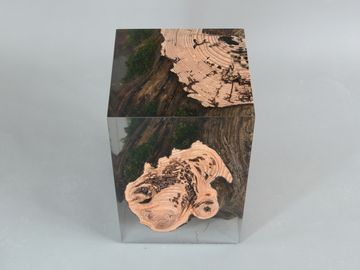 STUMP Stool - Larch by Alcarol - view 4