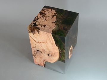 STUMP Stool - Larch by Alcarol - view 6