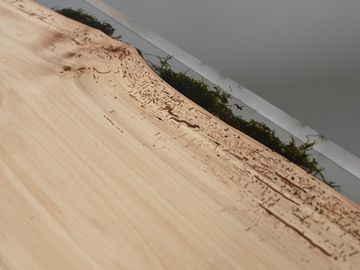TRAIL Bench by Alcarol - view 9