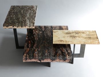 Phellem Low Table by Alcarol - view 2