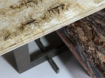 Phellem Low Table by Alcarol - view 3