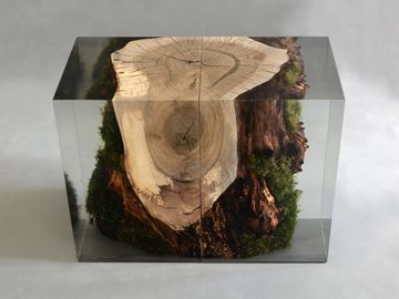 STUMP Stool - Walnut by Alcarol - view 5