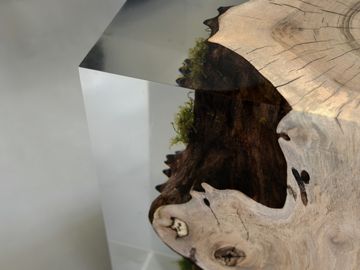 STUMP Stool - Walnut by Alcarol - view 3