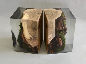 STUMP Stool - Walnut by Alcarol - view 6