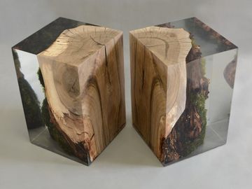 STUMP Stool - Walnut by Alcarol - view 7