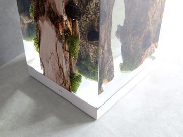 MOSS Lamp by Alcarol - view 7