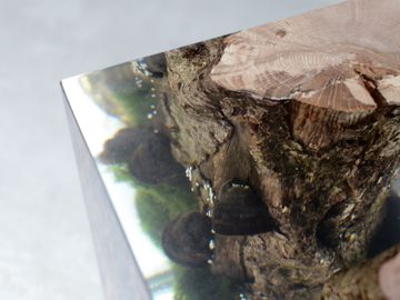 MOSS Lamp by Alcarol - view 9