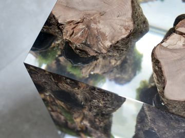 MOSS Lamp by Alcarol - view 2