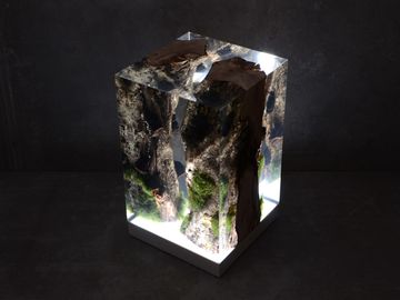 MOSS Lamp by Alcarol - view 3
