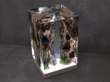 MOSS Lamp by Alcarol - view 6