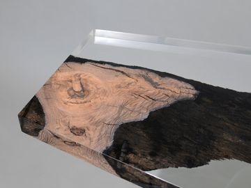 WETLAND Fragment by Alcarol - view 5