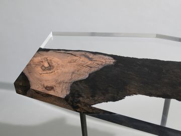 WETLAND Fragment by Alcarol - view 7