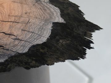 WETLAND Side Table by Alcarol - view 8
