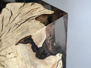STUMP Stool - Hornbeam by Alcarol - view 3