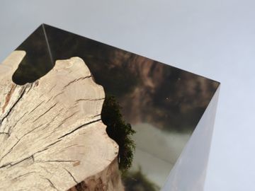 STUMP Stool - Hornbeam by Alcarol - view 6