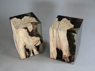 STUMP Stool - Hornbeam by Alcarol - view 4