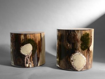 SURFACING STUMP by Alcarol - view 6