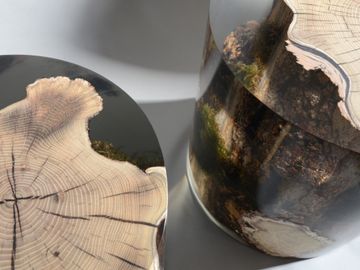 SURFACING STUMP by Alcarol - view 2