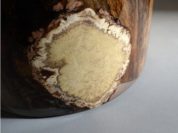 SURFACING STUMP by Alcarol - view 7