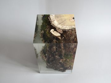 STUMP Stool - Mulberry by Alcarol - view 3