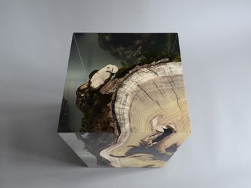 STUMP Stool - Mulberry by Alcarol - view 5