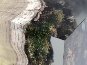 STUMP Stool - Mulberry by Alcarol - view 9