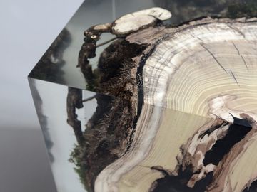 STUMP Stool - Mulberry by Alcarol - view 6