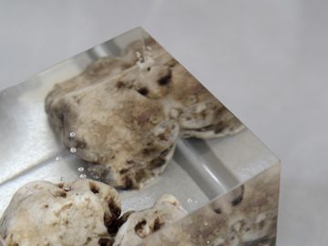 FLOATING KARST Bookends by Alcarol - view 6