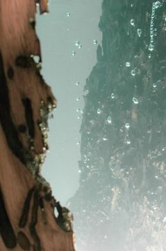 ABYSS Lamp by Alcarol - view 4