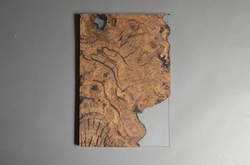 Undergrowth Layer - Wall Art by Alcarol - view 3