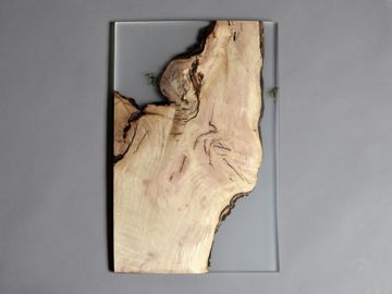 Undergrowth Layer - Wall Art by Alcarol - view 4
