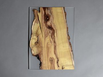 Undergrowth Layer - Wall Art by Alcarol - view 5