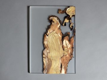 Undergrowth Layer - Wall Art by Alcarol - view 6