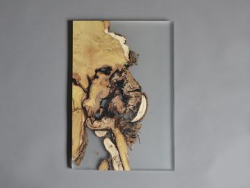 Undergrowth Layer - Wall Art by Alcarol - view 7