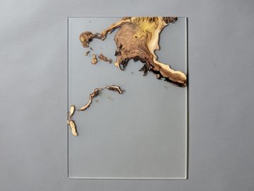 Undergrowth Layer - Wall Art by Alcarol - view 8