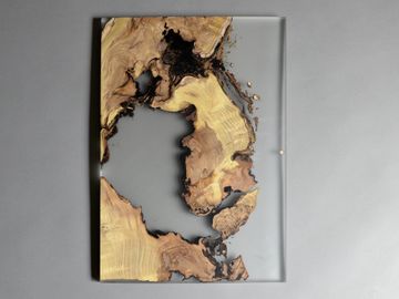 Undergrowth Layer - Wall Art by Alcarol - view 9