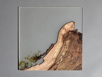 Undergrowth Layer - Wall Art by Alcarol - view 2