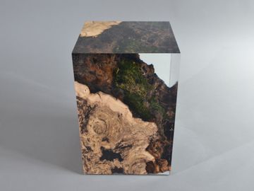 STUMP Stool - Chestnut by Alcarol - view 4