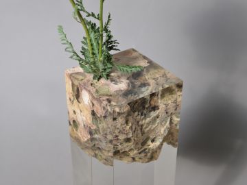 FLOATING KARST Vase by Alcarol - view 7