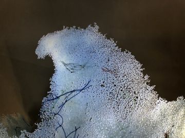 Wave Screen by Alcarol - view 6