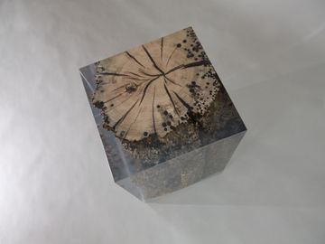 ANCHOR Colorless Stool by Alcarol - view 6