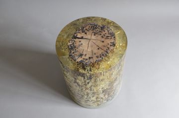 Fisheye EXCL Stool by Alcarol - view 2