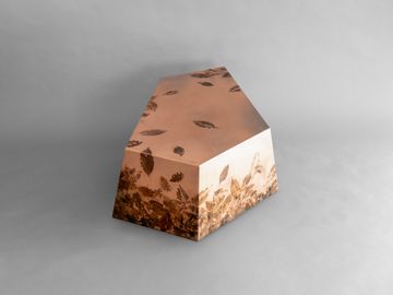 LEAFPRINT Coffee Table C by Alcarol - view 2