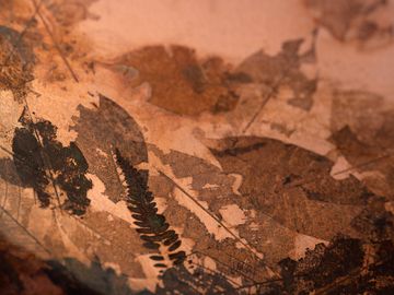 LEAFPRINT Coffee Table C by Alcarol - view 9